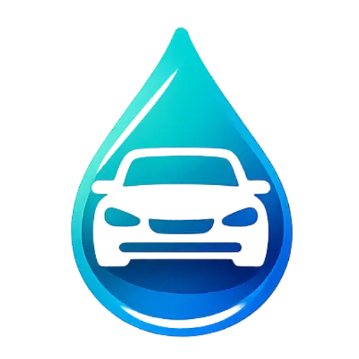 Lavage auto à domicile Placé